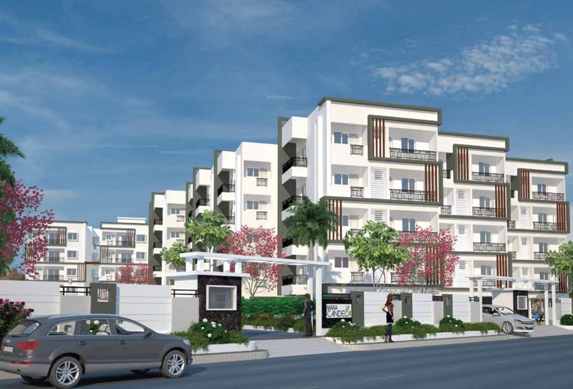 Images for Elevation of Mana Candela