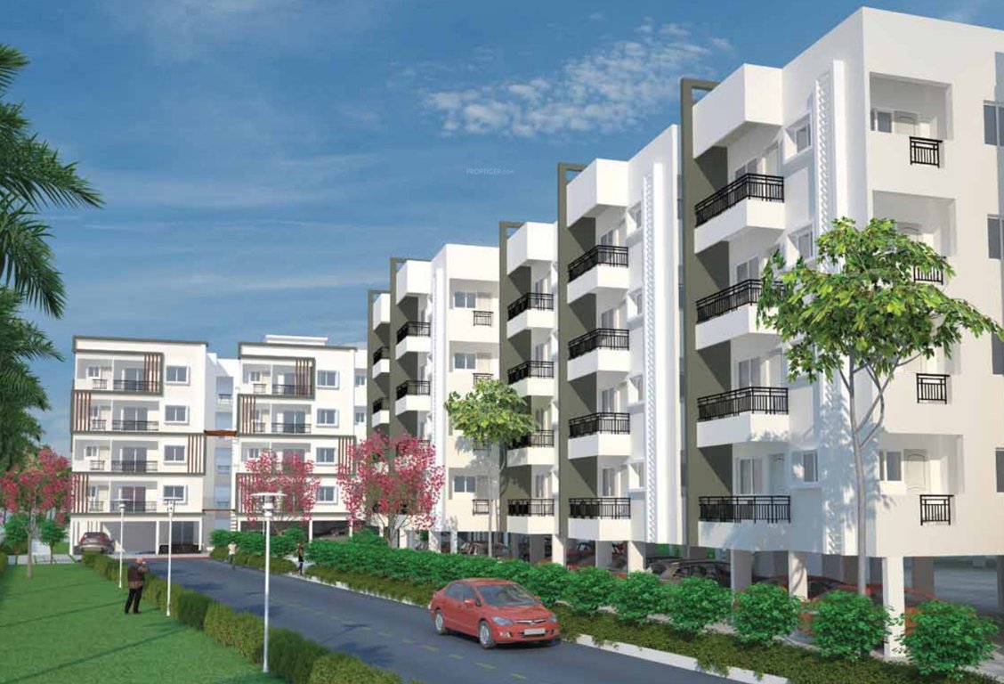 Images for Elevation of Mana Candela