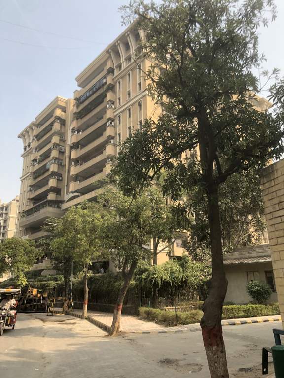 royale retreat iii Images for Project