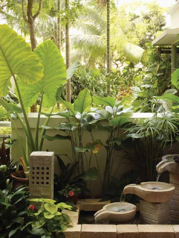 Images for Amenities of Vaswani Walnut Creek Villa