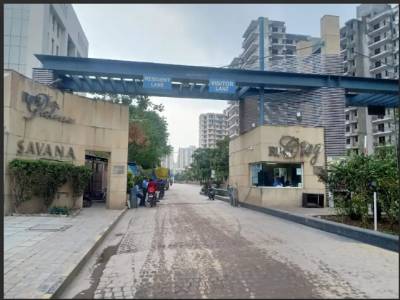 Others savana Others