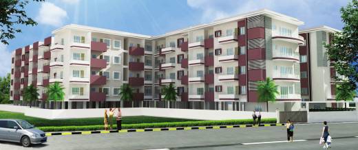 Images for Elevation of Wise Golden Rays