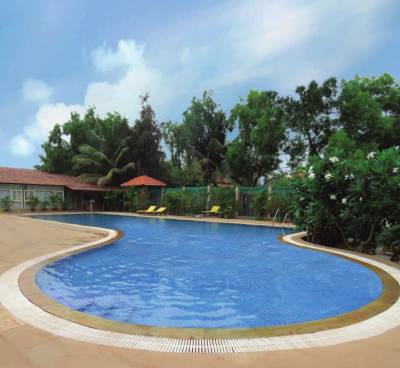 Images for Amenities of Wise Golden Rays