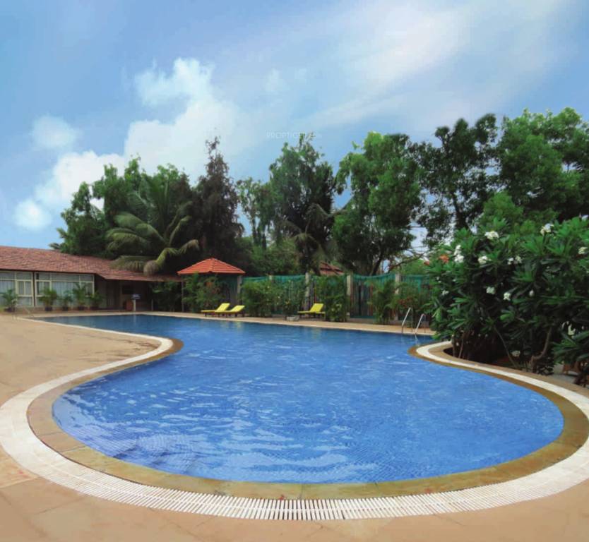 Images for Amenities of Wise Golden Rays