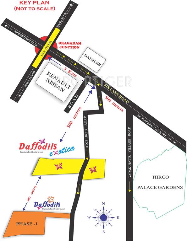 land royals daffodils exotica Location Plan