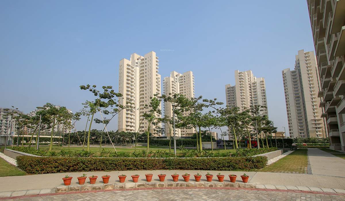 gurgaon one 84 Landscape Garden and Tree Planting