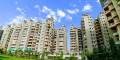 AWHO Delhi Sispal Vihar