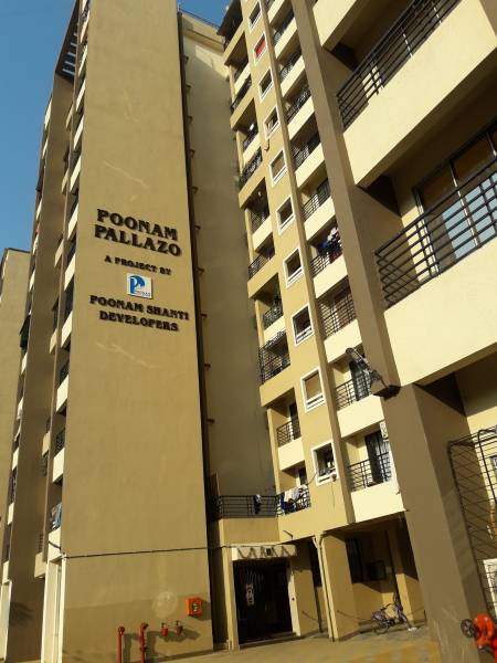  pallazo Images for Project