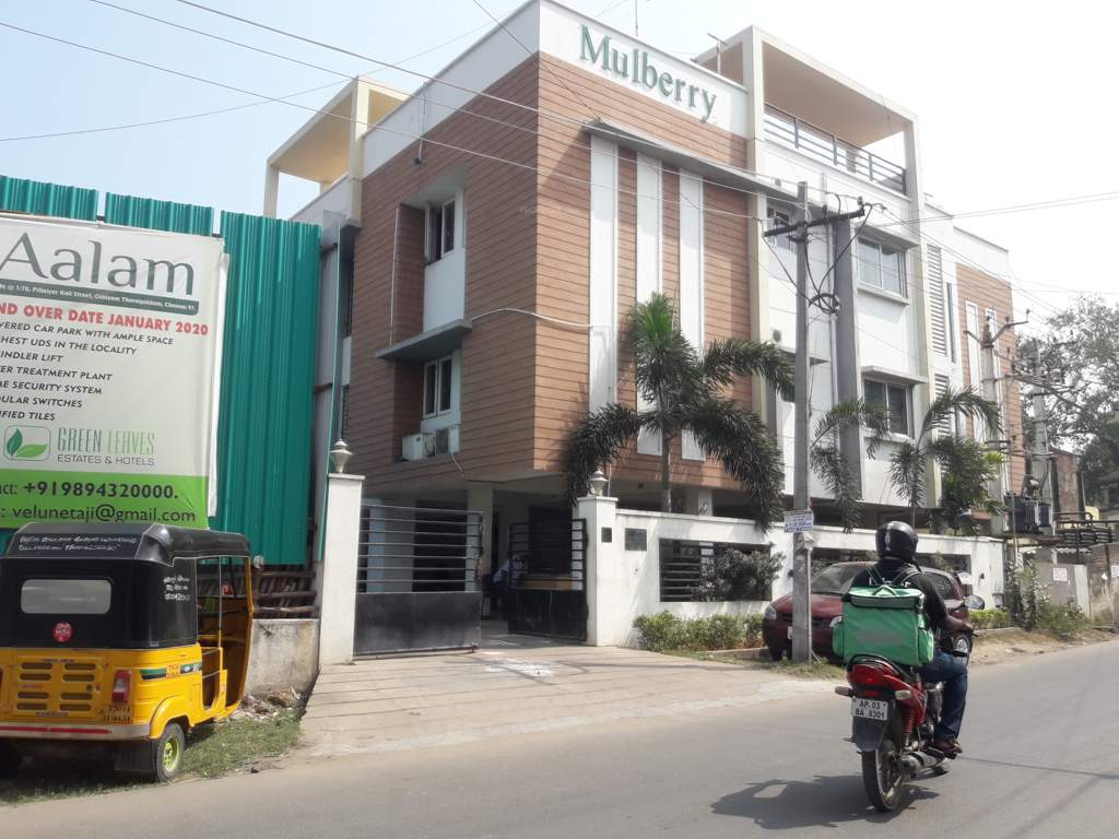  mulberry Images for Project