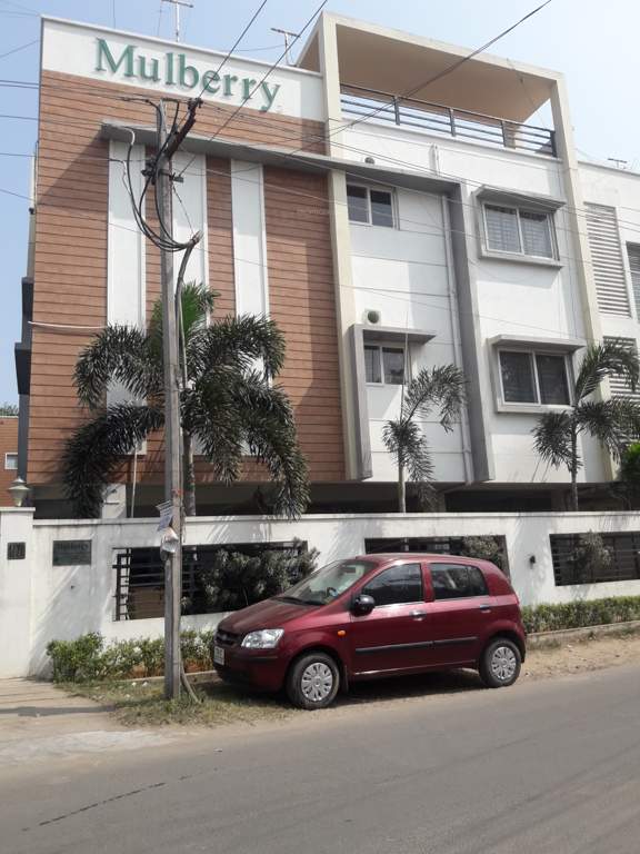  mulberry Images for Project