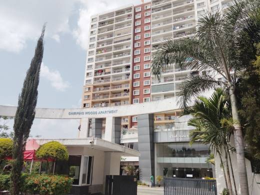 chirping-woods Elevation Elevation