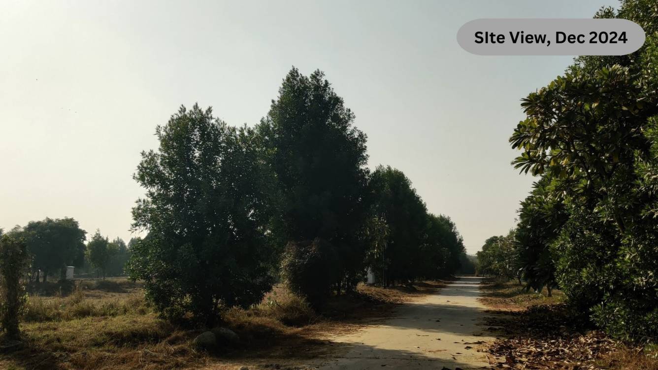 SDS NRI Township Plots