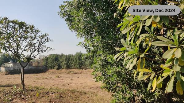 main of SDS NRI Township Plots