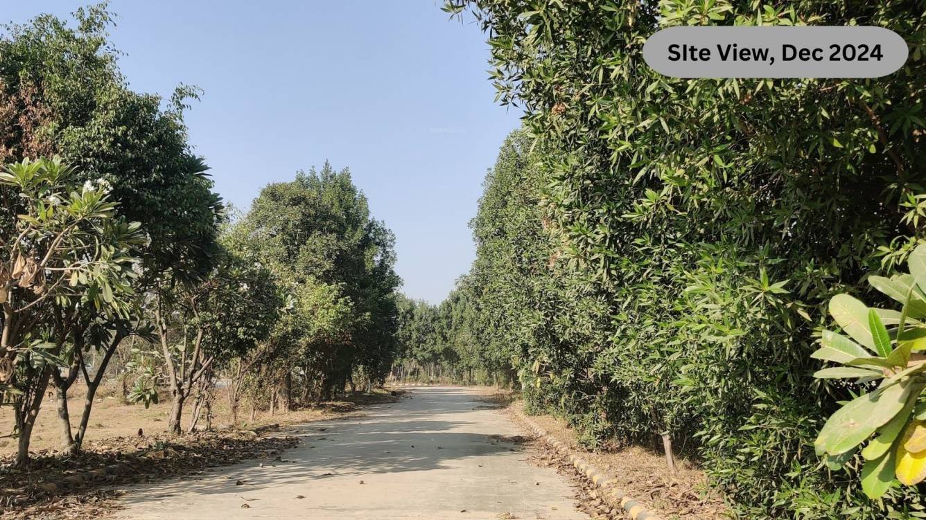 SDS NRI Township Plots