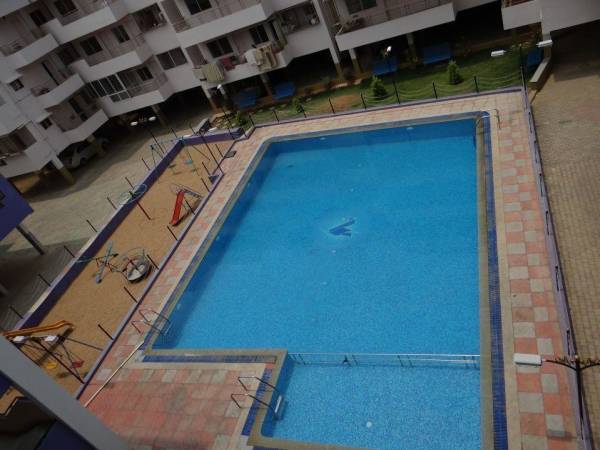  lavender-2 Swimming Pool