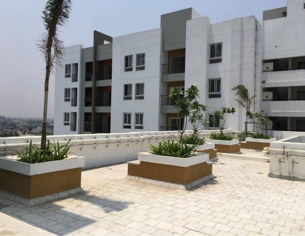 Images for Elevation of Navin Whiteberry