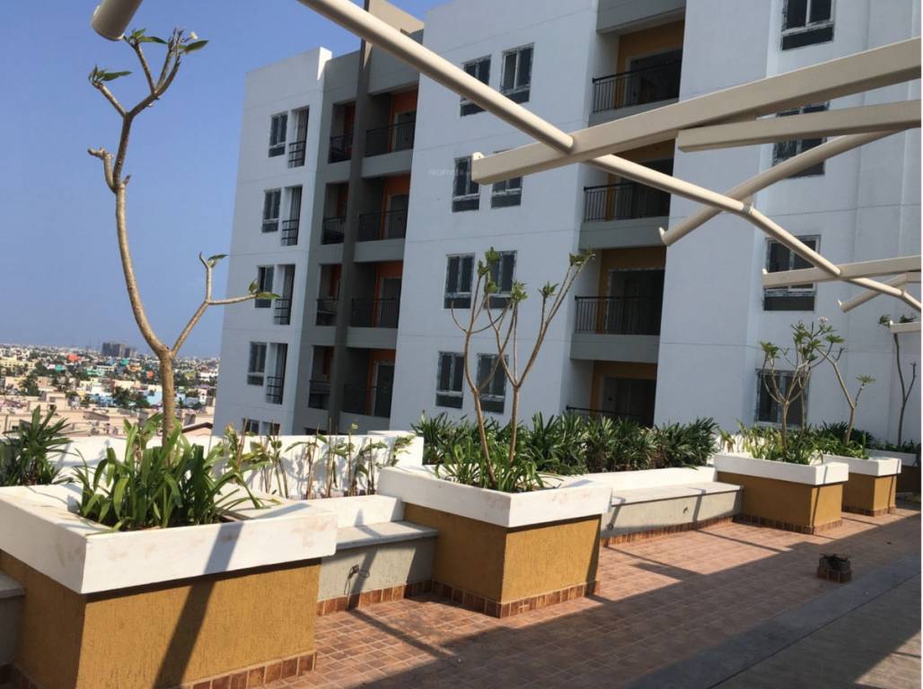 Images for Elevation of Navin Whiteberry