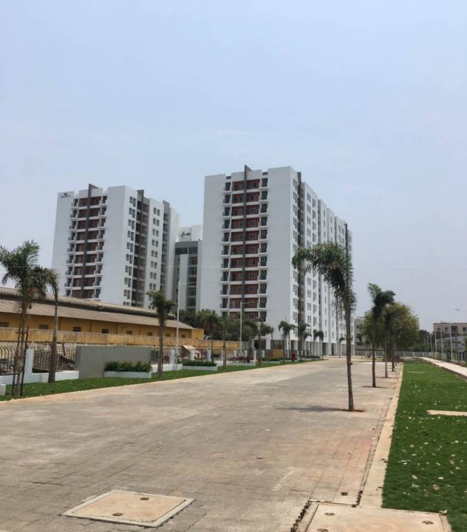 Images for Elevation of Navin Whiteberry