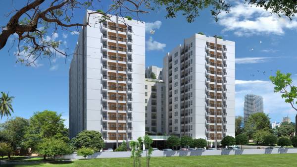 Images for Elevation of Navin Whiteberry Images for Elevation of Navin Whiteberry