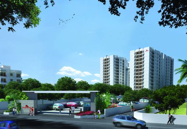 Images for Elevation of Navin Whiteberry