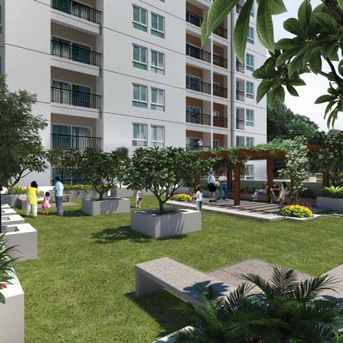 Images for Amenities of Navin Whiteberry