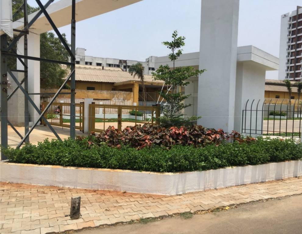 Images for Amenities of Navin Whiteberry