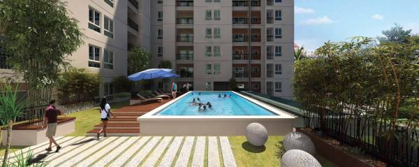 Images for Amenities of Navin Whiteberry