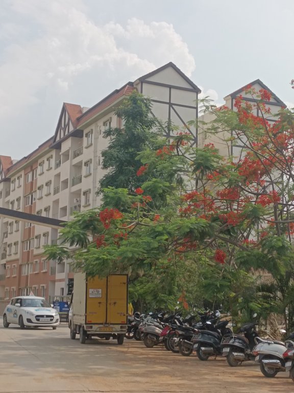 hamilton homes Elevation