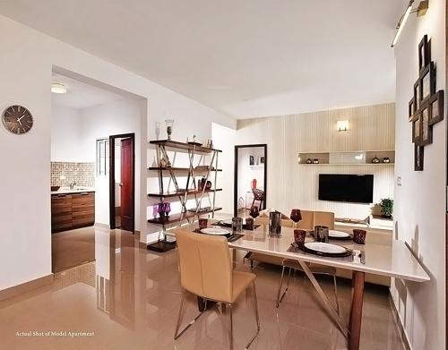  hamilton-homes Images for Main Other of SJR Hamilton Homes