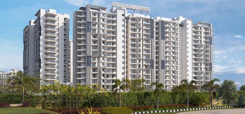  oasis Elevation