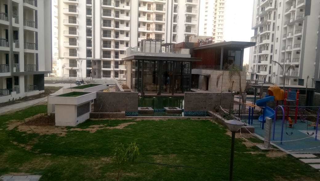 oasis Images for amenities