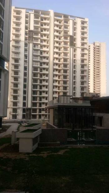  oasis Images for amenities