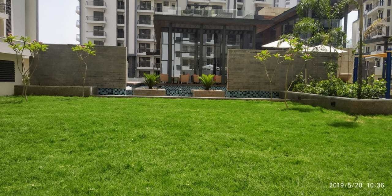 oasis Images for amenities