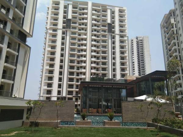  oasis Images for amenities