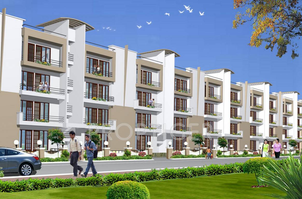 Project Image piyush group rosette Project Image
