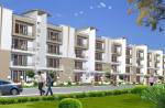 Project Image piyush-group rosette Project Image