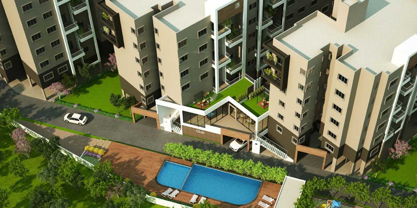  epitome Images for Elevation of Concorde Epitome