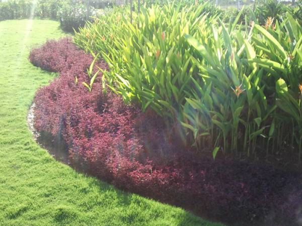 Images for Amenities of Baashyaam Le Chalet Villa Images for Amenities of Baashyaam Le Chalet Villa