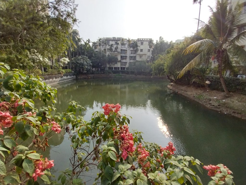  sisirkunja Natural Pond