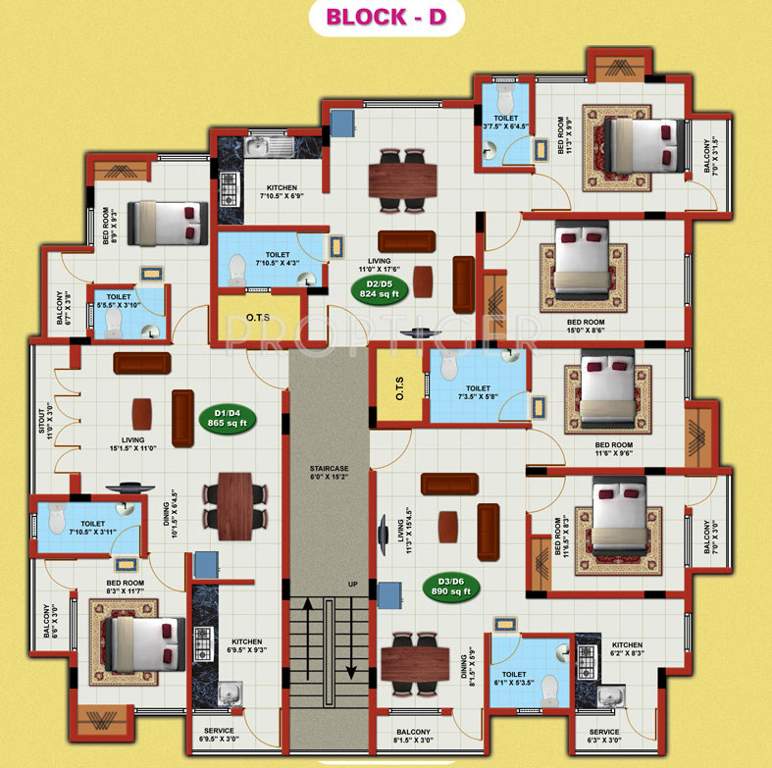 Images for Cluster Plan of Fair Orchid