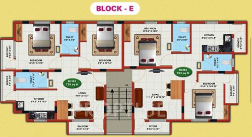 Images for Cluster Plan of Fair Orchid