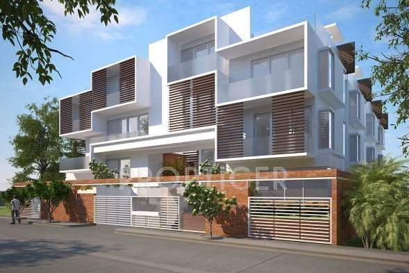  valencia Images for Elevation of Axis Concept Valencia