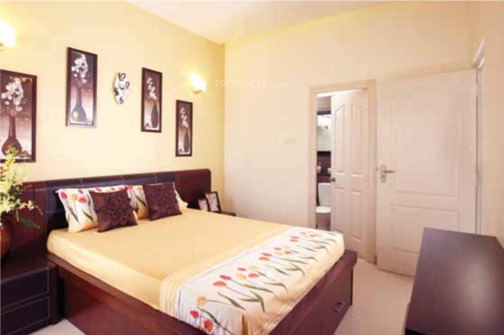  aashira Images for Main Other of Malles Aashira