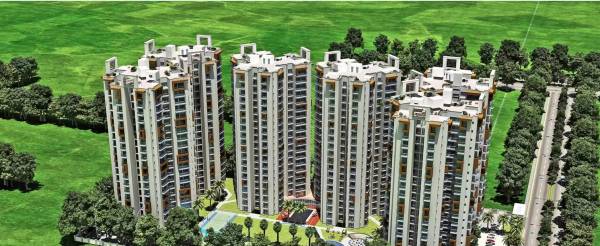  novena-green Images for Project