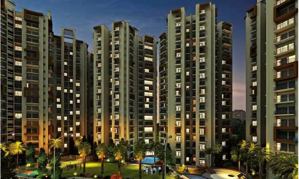  novena-green Images for Project