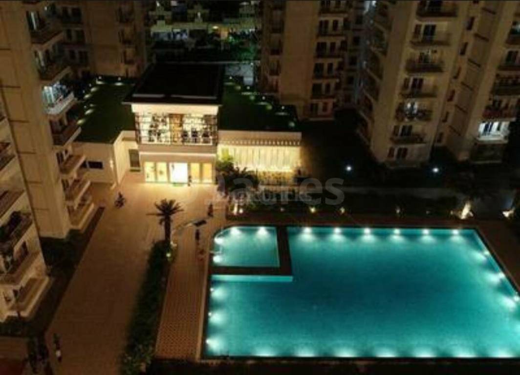 Mangalya Novena Green