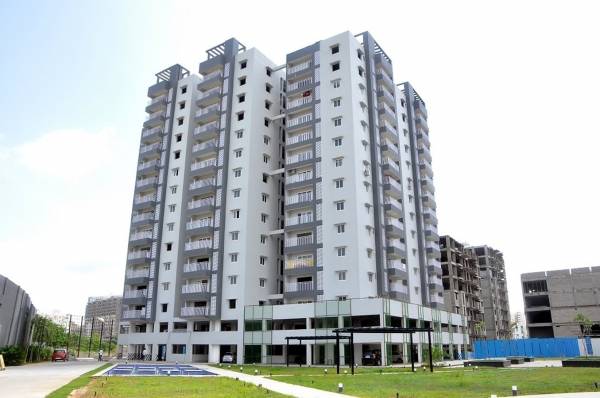 Elevation carlton-creek Elevation