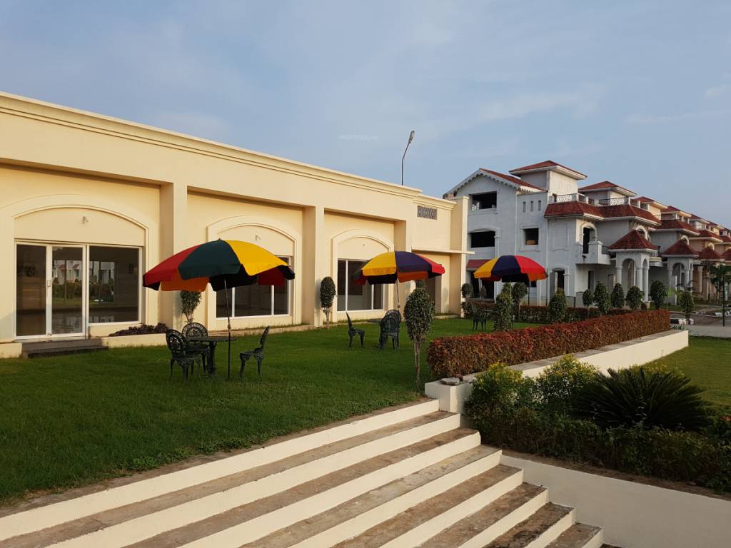  timber leaf Senior Citizen Sitout