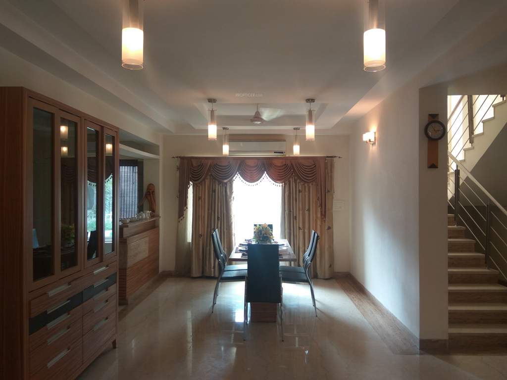  timber leaf Images for Main Other of Suchirindia Timber Leaf