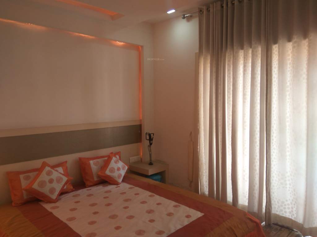  timber leaf Images for Main Other of Suchirindia Timber Leaf